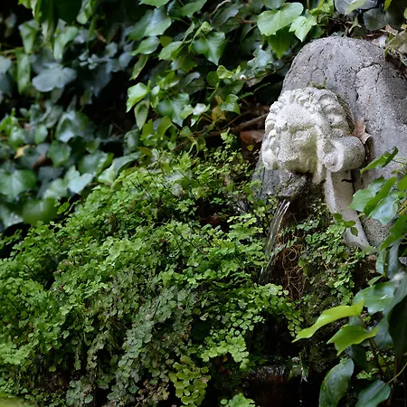 Giulio Cesare Hotell 4*