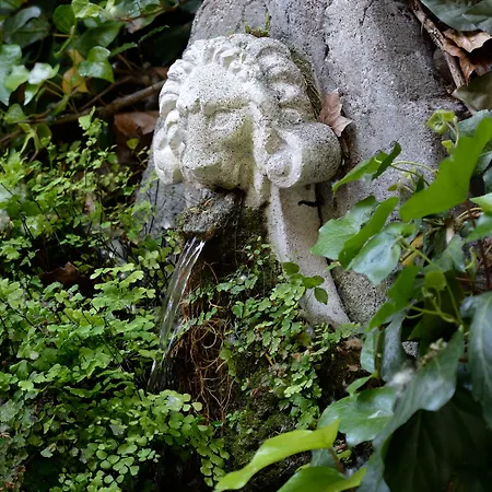 Giulio Cesare Hotel 4*